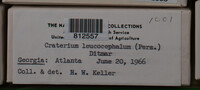 Image Associated With the Occurence